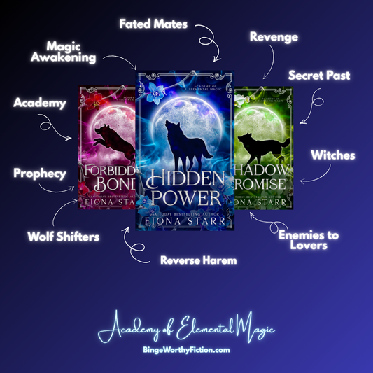 Academy of Elemental Magic EBook Bundle